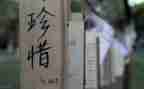爱要珍惜的演讲稿优秀8篇