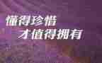 关于珍惜友谊的作文5篇