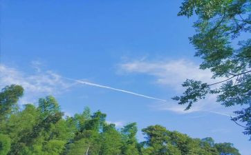 味的夏天作文参考7篇