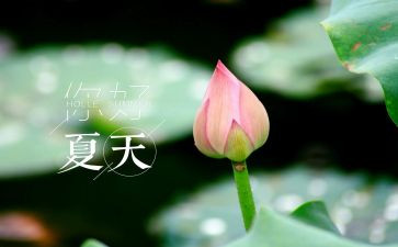 夏天的雨小学作文8篇