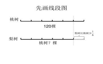 射线线段直线教案8篇