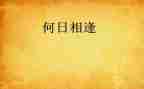 相逢是首歌的作文600字推荐6篇