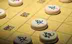 会下象棋的我作文5篇