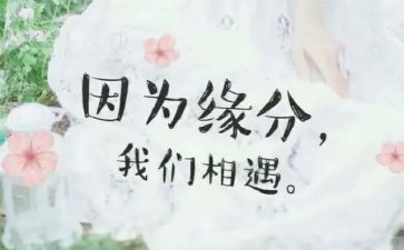 与相遇作文8篇
