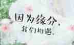 与相遇作文8篇