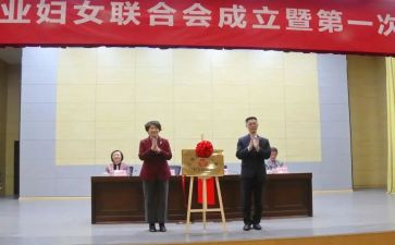 2024年度乡镇妇联工作总结6篇