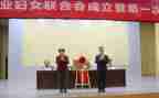 2024年度乡镇妇联工作总结6篇