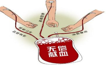 献血活动总结范文6篇