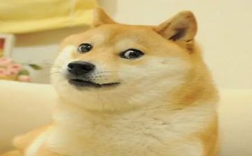笑对人生作文800字5篇