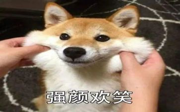 关于笑的作文三百字6篇