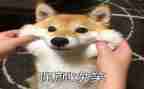 笑的读后感300字6篇