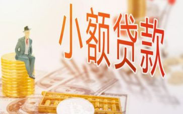 小贷公司工作总结5篇