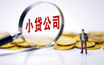 2024年小贷公司工作总结6篇