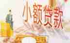 小贷公司工作总结5篇