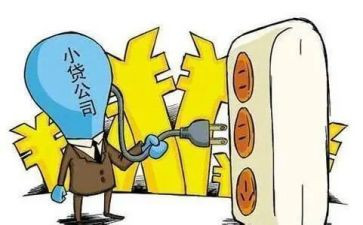 小额贷款借款合同8篇