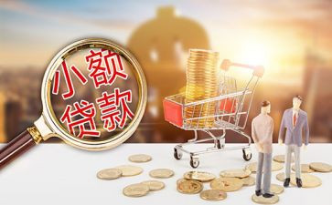 小额贷合同推荐8篇
