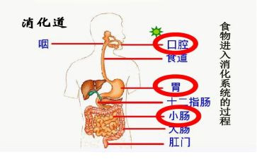 消化科工作计划7篇