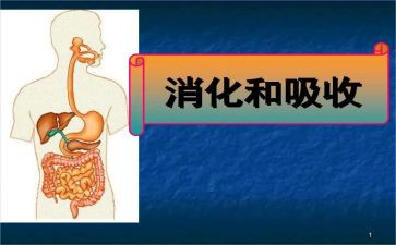 消化内科护理年工作计划8篇