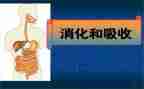 消化内科护理年工作计划8篇