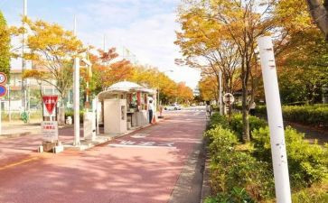 评校内奖学金申请书7篇