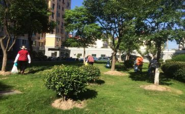 小区物业工作总结和工作计划5篇
