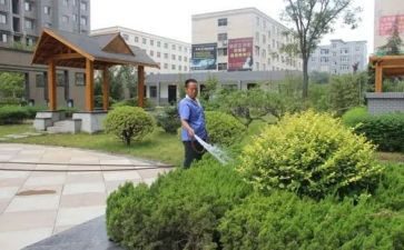 小区物业年终工作总结优秀5篇