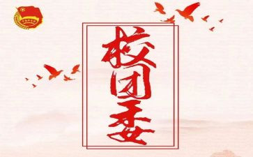 进校团委的演讲稿5篇