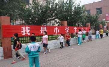 小学体育个人年度总结总结6篇