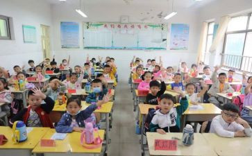 小学体育教师工作个人总结8篇
