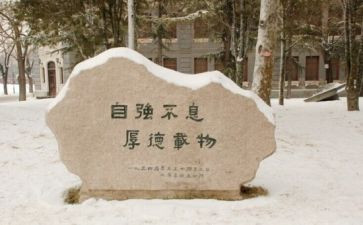 党校训练心得体会7篇