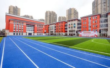 校园活动心得体会通用6篇
