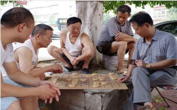 下棋的乐趣作文7篇