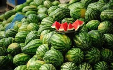 体育游戏切西瓜教案6篇