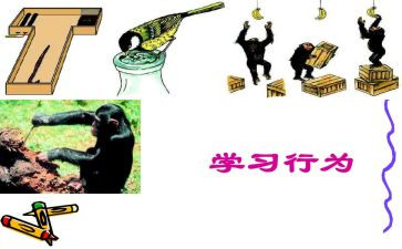 中学生行为规范的心得体会5篇