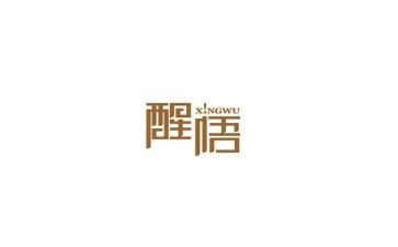 醒悟作文优秀5篇