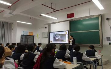 2024年小学数学新课标心得体会最新7篇