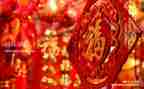 税新年工作计划6篇