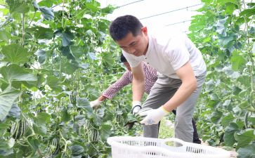 新农村述职报告6篇