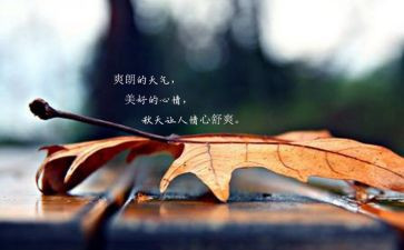 我心情好作文参考5篇