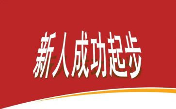 新人年终总结通用6篇