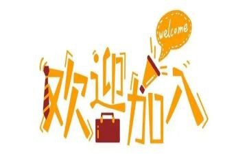 新人入职的心得体会7篇