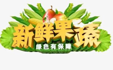 春节新鲜事作文6篇