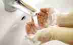 小班洗手健康教案6篇