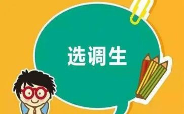 选调生个人总结7篇