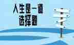鹤的选择作文精选6篇