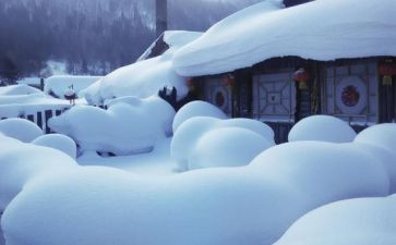 雪的自述作文500字5篇