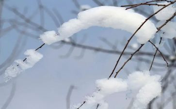 雪伤感作文精选5篇