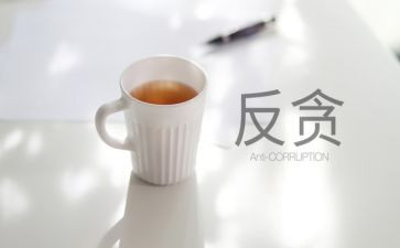 反面典型为镜心得体会8篇