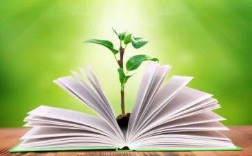 小学数学学期教学工作计划6篇