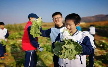 小学农村教师先进事迹材料8篇